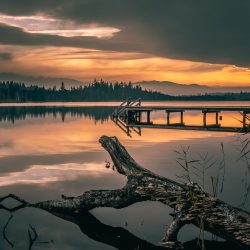 mario-dobelmann-cnruGArGfYM-unsplash